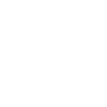 Professional Manufacturing Capability