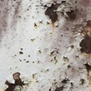 Rust